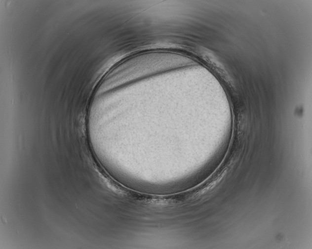 X0000094061177200711161518