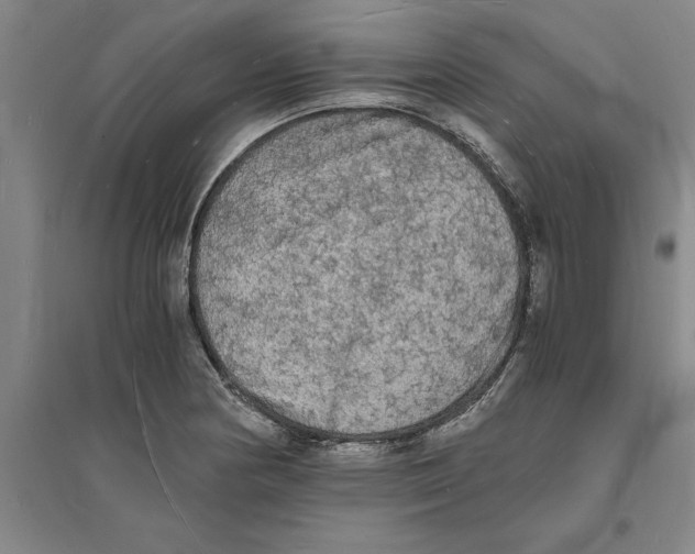 X0000094061178200711161518