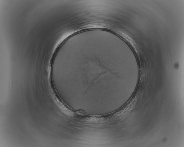 X0000094061179200711161518