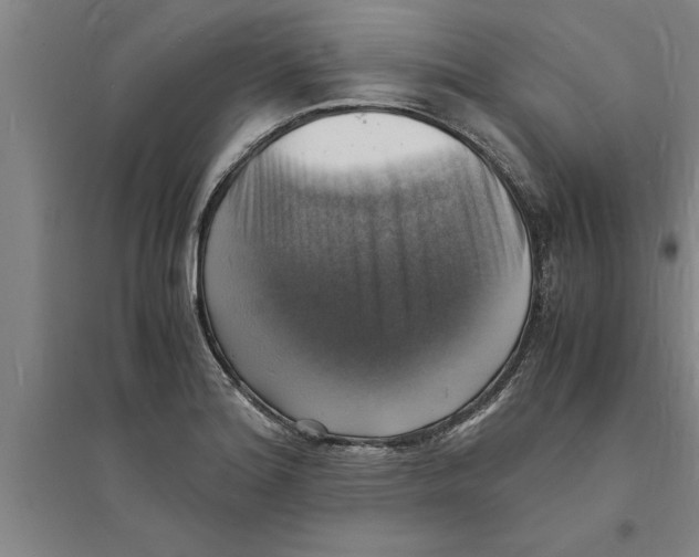 X0000094061180200711161518