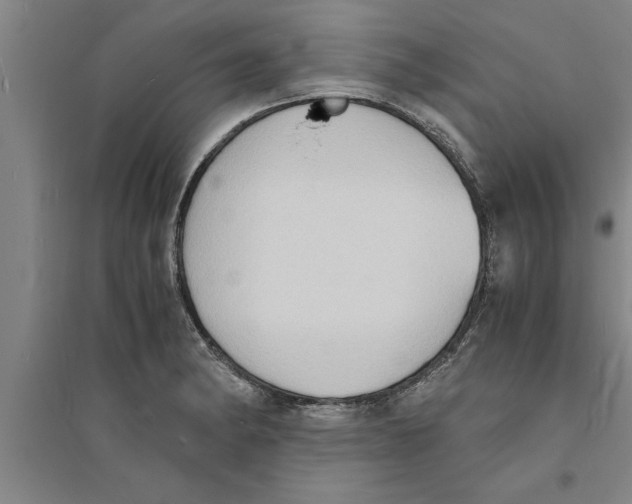 X0000094061182200711161518