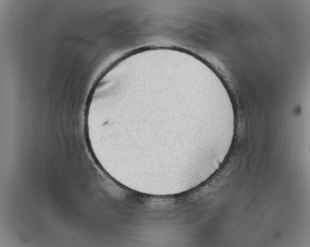 X0000094061183200711161518