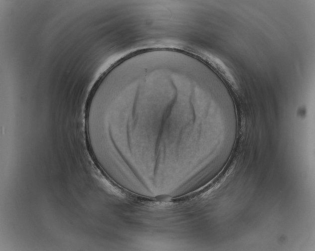 X0000094061184200711161518