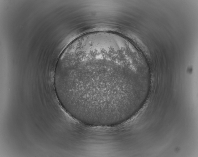 X0000094061185200711161518