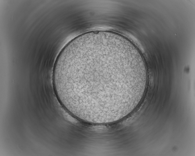 X0000094061186200711161517