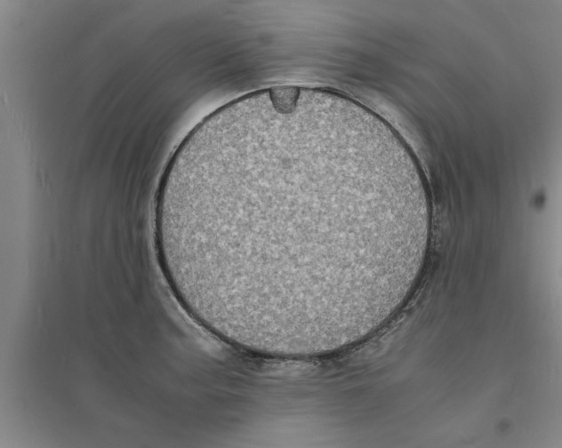 X0000094061187200711161517