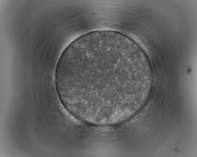 X0000094061189200711161517