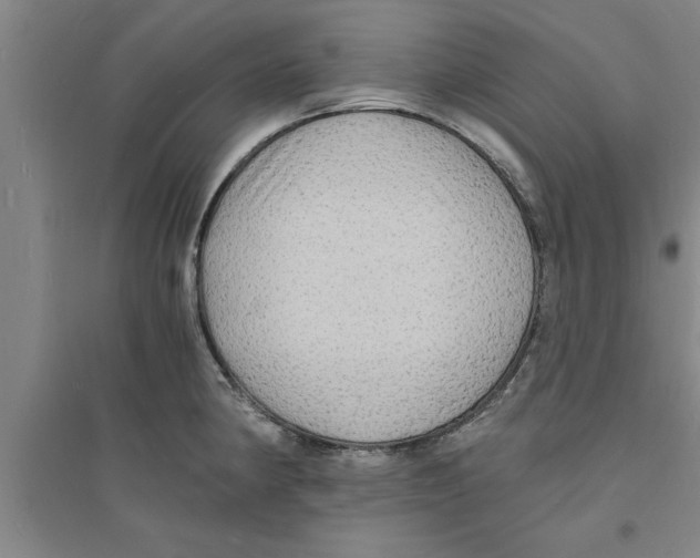 X0000094061190200711161517