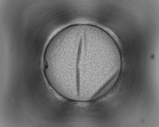 X0000094061191200711161517