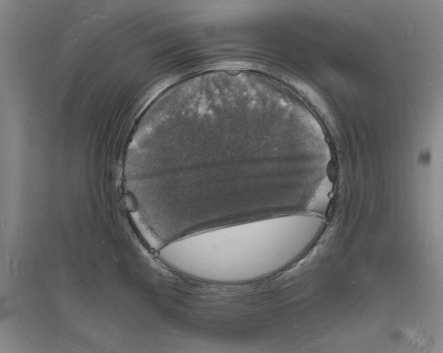 X0000094061193200711161517