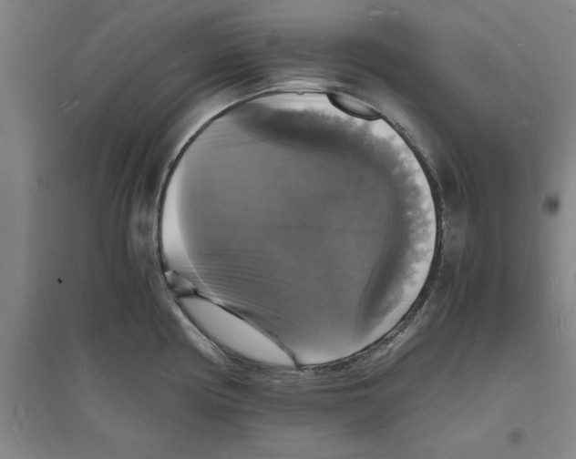 X0000094061194200711161517