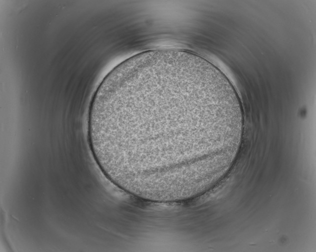 X0000094061195200711161517