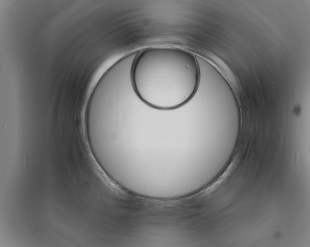 X0000094061196200711161517