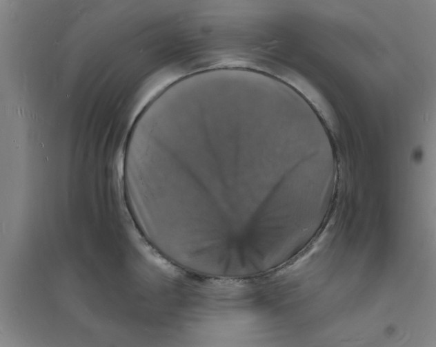 X0000094061198200711161517