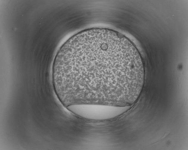 X0000094061199200711161517