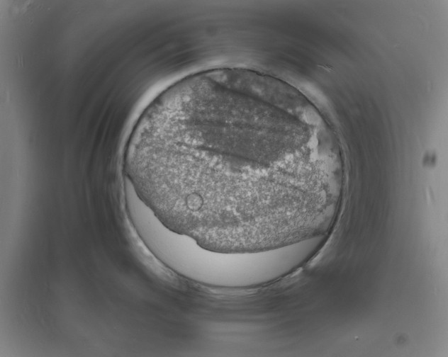 X0000094061200200711161517