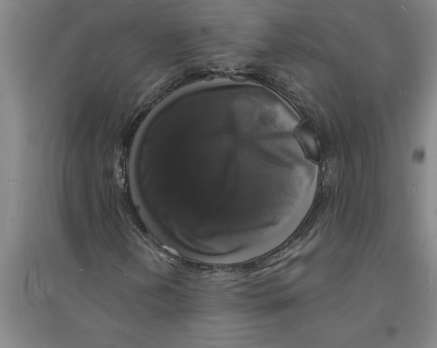 X0000094061202200711161517