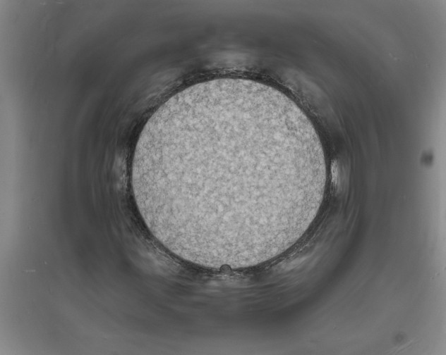 X0000094061203200711161517