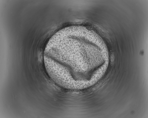 X0000094061204200711161517