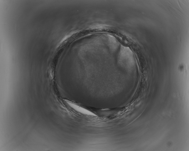 X0000094061206200711161517