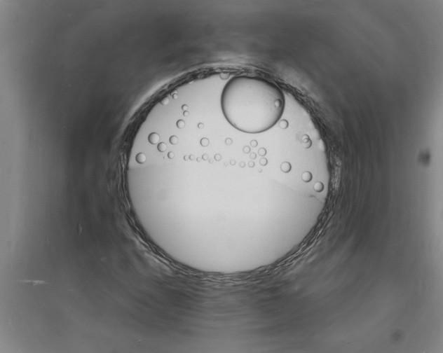 X0000094061208200711161517