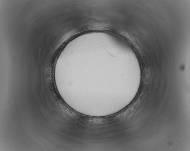 X0000094061211200711161517