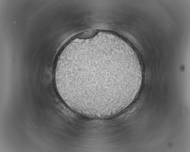 X0000094061212200711161517