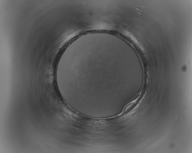 X0000094061213200711161517