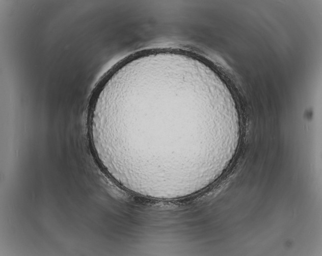 X0000094061216200711161517