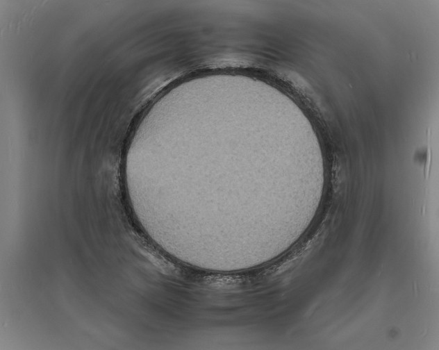 X0000094061217200711161517