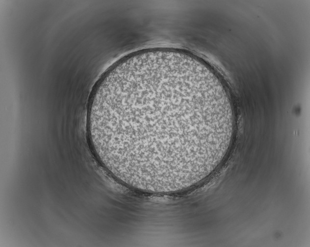 X0000094061220200711161517