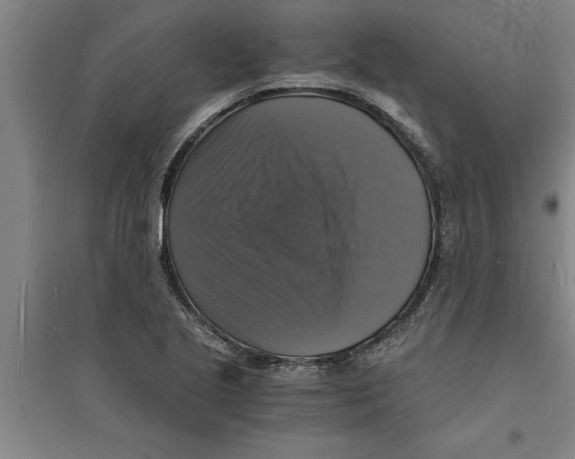 X0000094061221200711161517