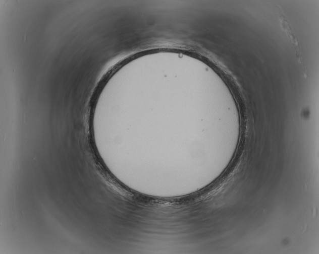 X0000094061222200711161517