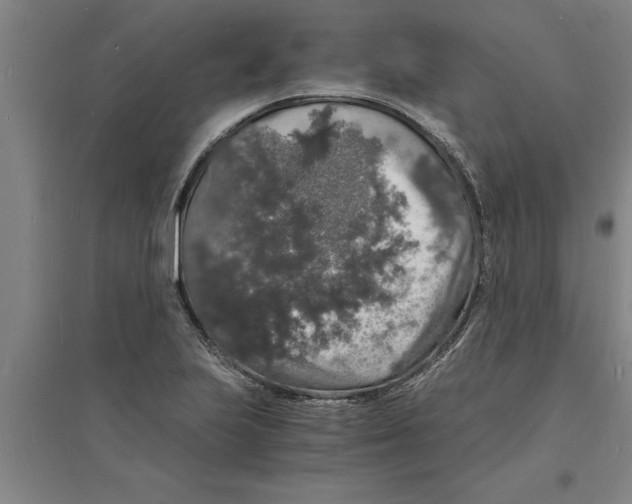 X0000094061223200711161517