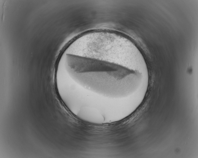 X0000094061224200711161517