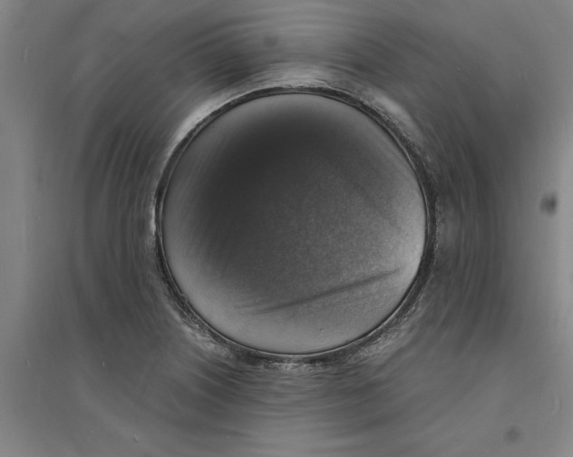 X0000094061226200711161517