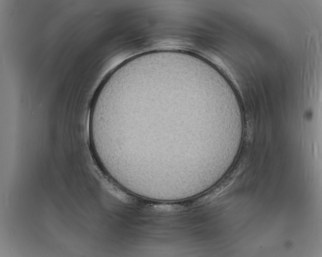 X0000094061227200711161517