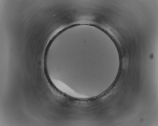 X0000094061229200711161517