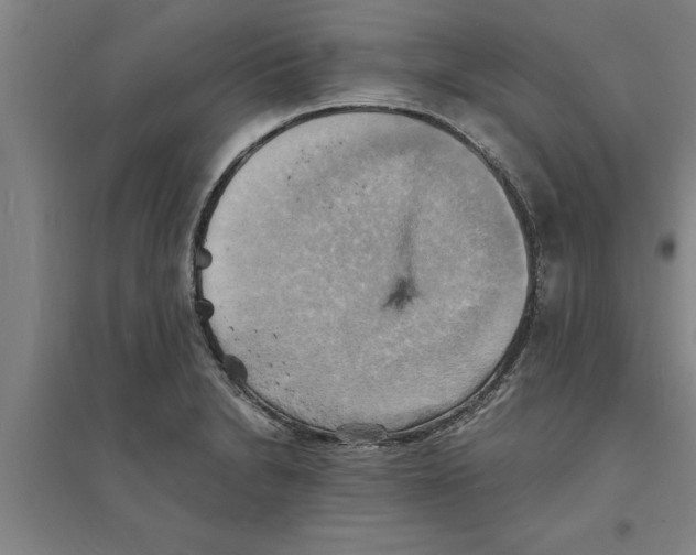 X0000094061230200711161517