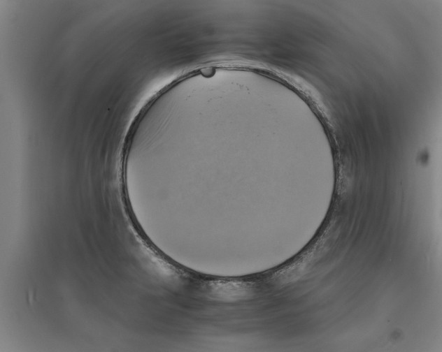 X0000094061231200711161517