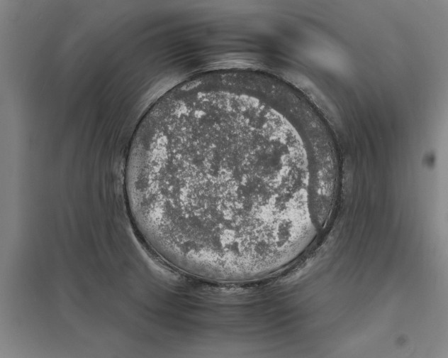 X0000094061233200711161517