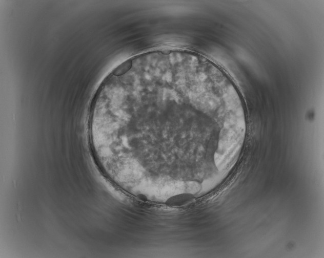 X0000094061235200711161517