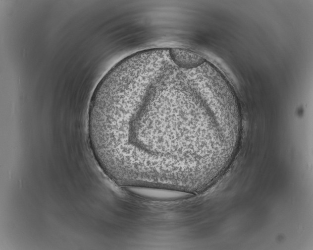 X0000094061236200711161517