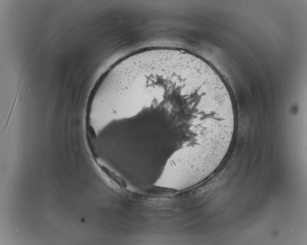 X0000094061237200711161517