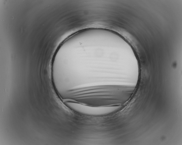 X0000094061238200711161517