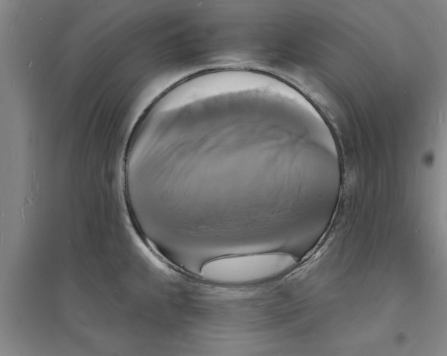 X0000094061239200711161517