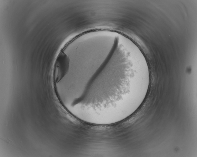 X0000094061240200711161517