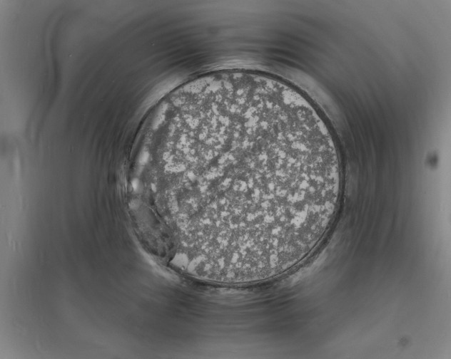 X0000094061241200711161517