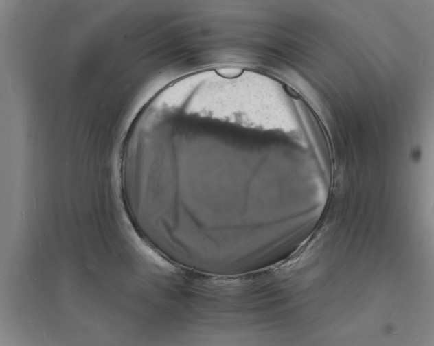 X0000094061243200711161517