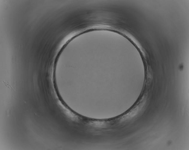 X0000094061245200711161517